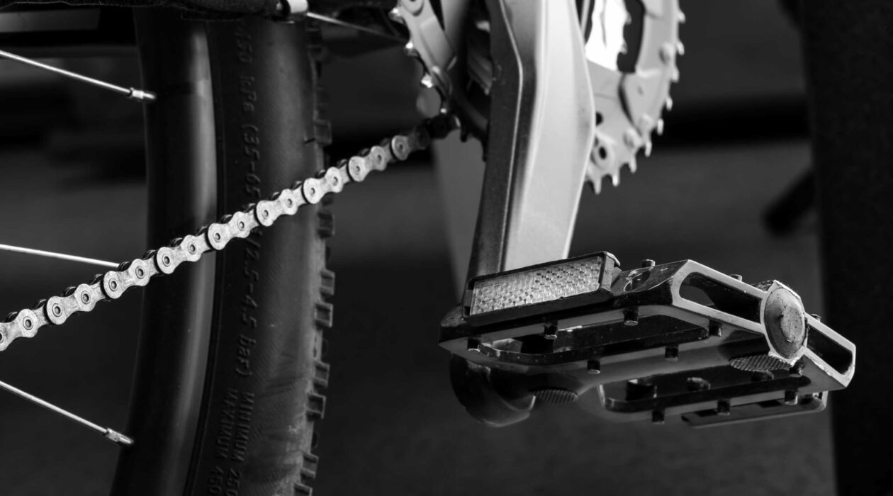 owalne zębatki rowerowe